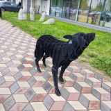 Онежское озеро, фото отдыхающего в мае