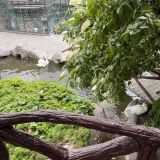 Пятигорск, фото отдыхающего в мае