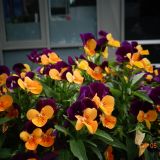 Ростов-на-Дону, фото отдыхающего в мае