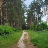 Экопарк Поляны, фото гостя