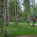 Экопарк Поляны, фото гостя