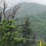 Отель Astra de Rosa, фото гостя