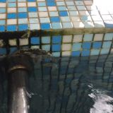 SPA-отель Гостеев на Прибое, фото гостя