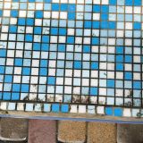 SPA-отель Гостеев на Прибое, фото гостя