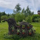 Парк-Отель Орловский, фото гостя