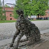 Финский залив, фото отдыхающего в мае