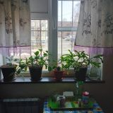 Гостиница Ваш Дом, фото гостя