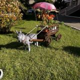 Отель Чёрное море, фото гостя