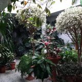 Гостиница Кочубей-Центр, фото гостя