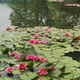 Даховская, фото отдыхающего в мае