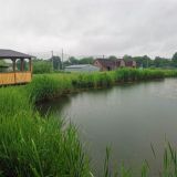 Отель Горное Озеро, фото гостя