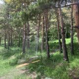 Загородный отель Каньон, фото гостя