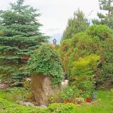 Гостиница Мелодия гор, фото гостя
