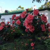 Пятигорск, фото отдыхающего в июне