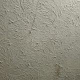 Гостевой дом Усадьба Роза Мария, фото гостя