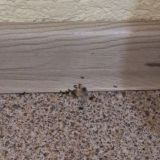 Отель Time Centr, фото гостя