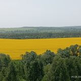 Козельск, фото отдыхающего в мае