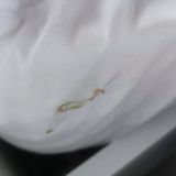 Апартаменты Гости Любят у метро Новопеределкино. Бирюзовая, фото гостя