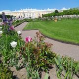 Финский залив, фото отдыхающего в июне