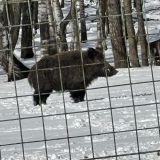 Отель-заповедник Лесное, фото гостя