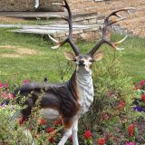 Отель-заповедник Лесное, фото гостя