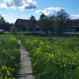 Химки, фото отдыхающего в июне