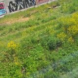 Химки, фото отдыхающего в июне