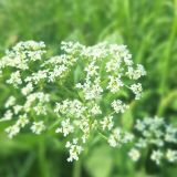 Химки, фото отдыхающего в июне