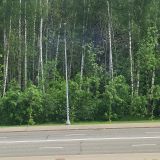 Химки, фото отдыхающего в июне