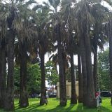 Сочи, фото отдыхающего в июне