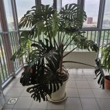 Отель Smart Lofts Garden, фото гостя