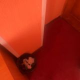 Гостиница Москвич, фото гостя