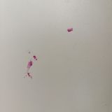 Меблированные комнаты Egoiste, фото гостя