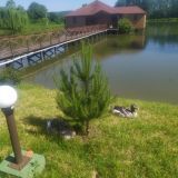 База отдыха Озеро Желаний, фото гостя