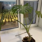 Апартаменты В Центре, фото гостя