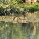 Отель Горное Озеро, фото гостя