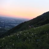 Пятигорск, фото отдыхающего в июне