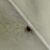 Отель Sky Apartments, фото гостя