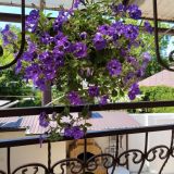 Гостевой дом Марика, фото гостя