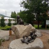Горно-Алтайск, фото отдыхающего в июне