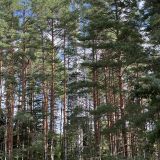 Трусово, фото отдыхающего в июне