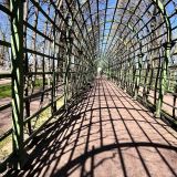 Финский залив, фото отдыхающего в мае
