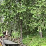 Загородный отель Истра Холидей, фото гостя