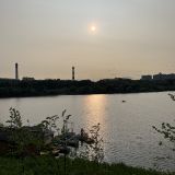 Подмосковье, фото отдыхающего в июне