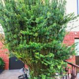 Оздоровительный комплекс Дивный, фото гостя