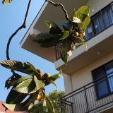 Оздоровительный комплекс Дивный, фото гостя