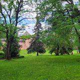 Великий Новгород, фото отдыхающего в июне