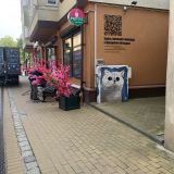 Калининград, фото отдыхающего в июне
