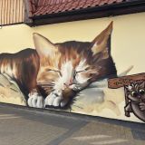 Куршская коса, фото отдыхающего в мае
