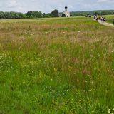 Владимир, фото отдыхающего в июне